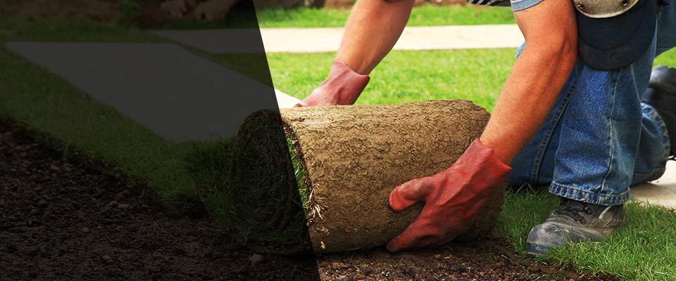 National City Landscapers